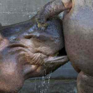 Obrázek 'polibte&nbsp;mi&nbsp;prdel'