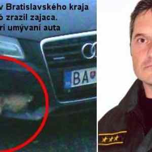 Obrázek 'policajny-riaditel-zrazil-zajaca'