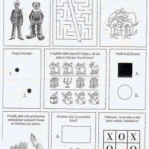 Obrázek 'policejni test'