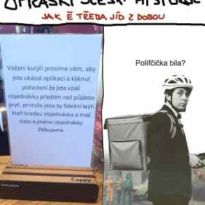 Obrázek 'polifcicka'