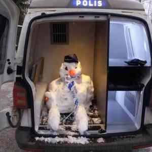 Obrázek 'polis huhulak'