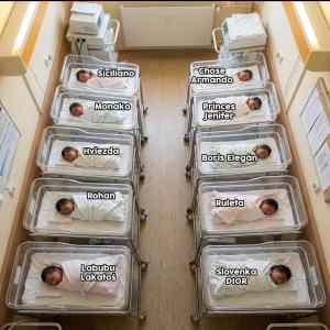 Obrázek 'poloslovaci'