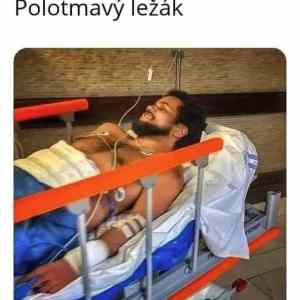 Obrázek 'polotmavy lezak'