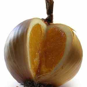Obrázek 'pomeranc nebo cibule'