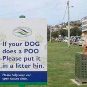 Obrázek 'poo dog'