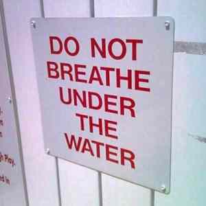 Obrázek 'pool rules usa'