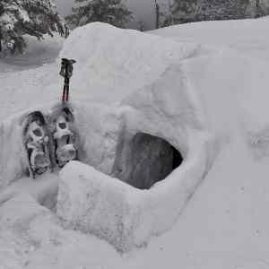 Obrázek 'poradnejzahrab'