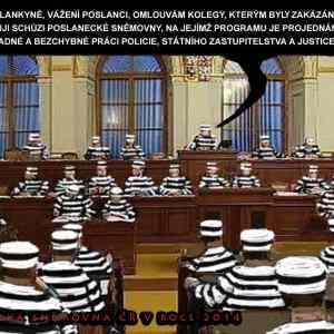 Obrázek 'poslanecka snemovna 2014'