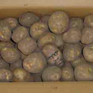 Obrázek 'potatoes'