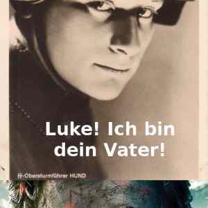 Obrázek 'potter'