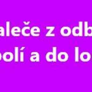 Obrázek 'povalece z odboru'