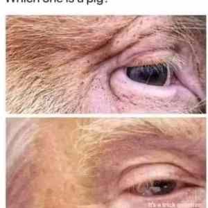 Obrázek 'pozor&nbsp;chytak'