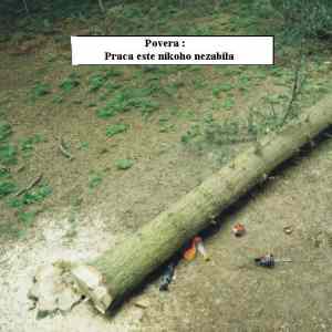 Obrázek 'prace nikoho nezabije'