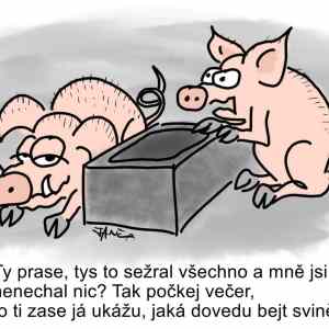 Obrázek 'prasatka'