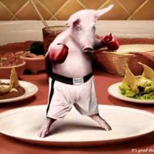 Obrázek 'prase&nbsp;se&nbsp;neda'