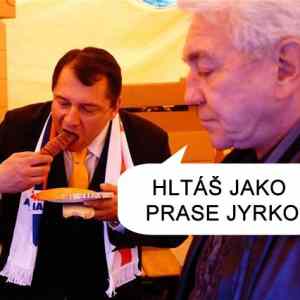 Obrázek 'prasejyrko'