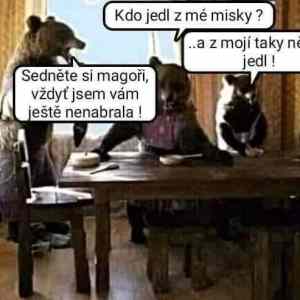 Obrázek 'prazdna miska'