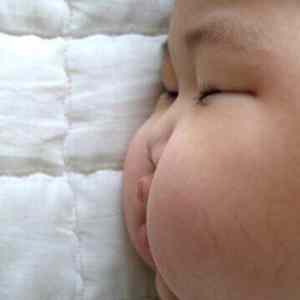 Obrázek 'prdeloksicht'