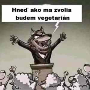 Obrázek 'predvolebne sluby '