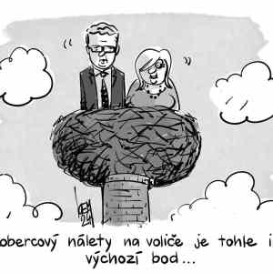 Obrázek 'predvolebni hnizdo'