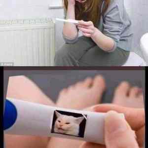 Obrázek 'pregnancy test'