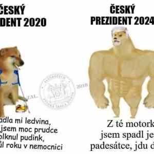 Obrázek 'president 2020 2024'