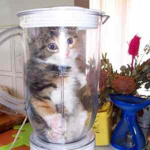 Obrázek 'prestanete&nbsp;s&nbsp;duplicitama&nbsp;jinak&nbsp;to&nbsp;zmacnu'