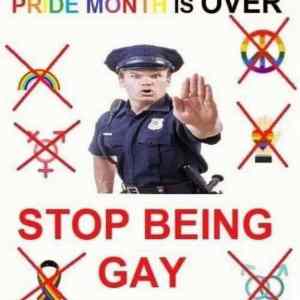 Obrázek 'pride month is over'