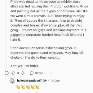 Obrázek 'pride sucks'