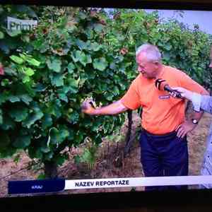 Obrázek 'prima&nbsp;fail'