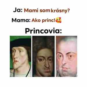 Obrázek 'princove'