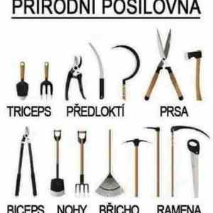 Obrázek 'prirodni posilovna'