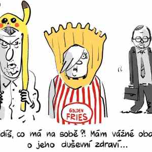 Obrázek 'prisel o rozum'
