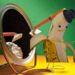 Obrázek 'pritel kiwiho fixed'