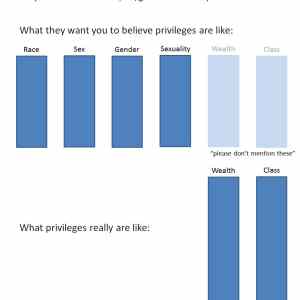 Obrázek 'privilege'