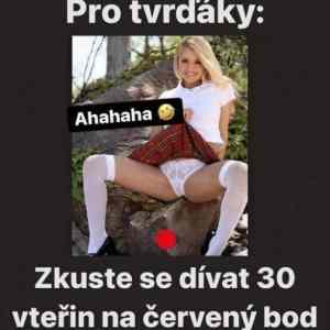 Obrázek 'pro tvrdaky'