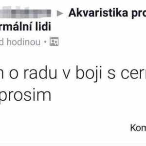 Obrázek 'problemy akvaristu'