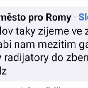 Obrázek 'proc romove nechodi do prace musi doma hlidat'