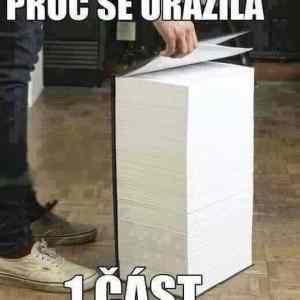 Obrázek 'proc se urazila'