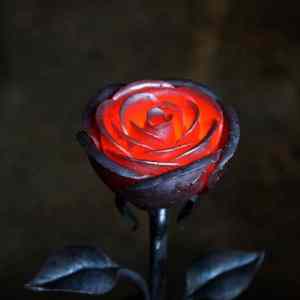 Obrázek 'proc&nbsp;ta&nbsp;ruze&nbsp;neuvadaaa'