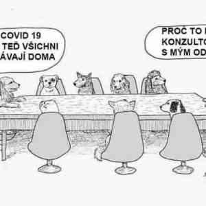 Obrázek 'proc to nikdo nekonzultoval s kostaty'