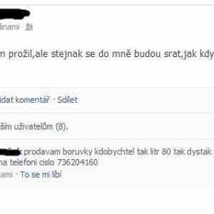 Obrázek 'prodavam boruvky'