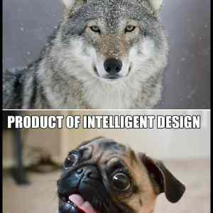 Obrázek 'products&nbsp;&nbsp;&nbsp;'