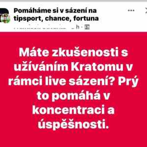 Obrázek 'profesional z usti'