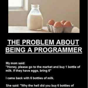 Obrázek 'programmers problem'