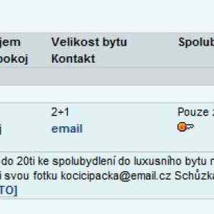 Obrázek 'pronajem'