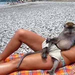 Obrázek 'prosime&nbsp;snimecek'