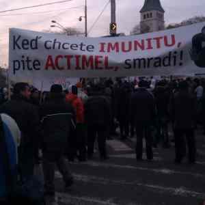 Obrázek 'protest gorila imunita'