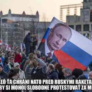 Obrázek 'protest&nbsp;za&nbsp;putina'