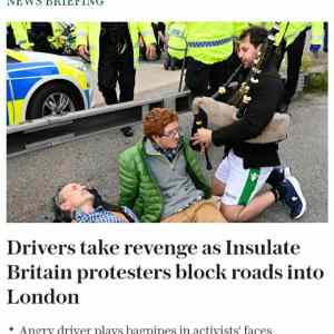 Obrázek 'protests revenge'